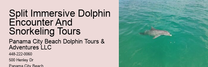 What Are Dolphins Worst Enemies