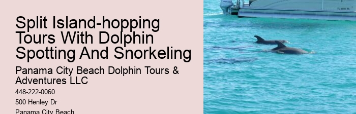 Split Snorkeling And Dolphin Sightseeing Expeditions