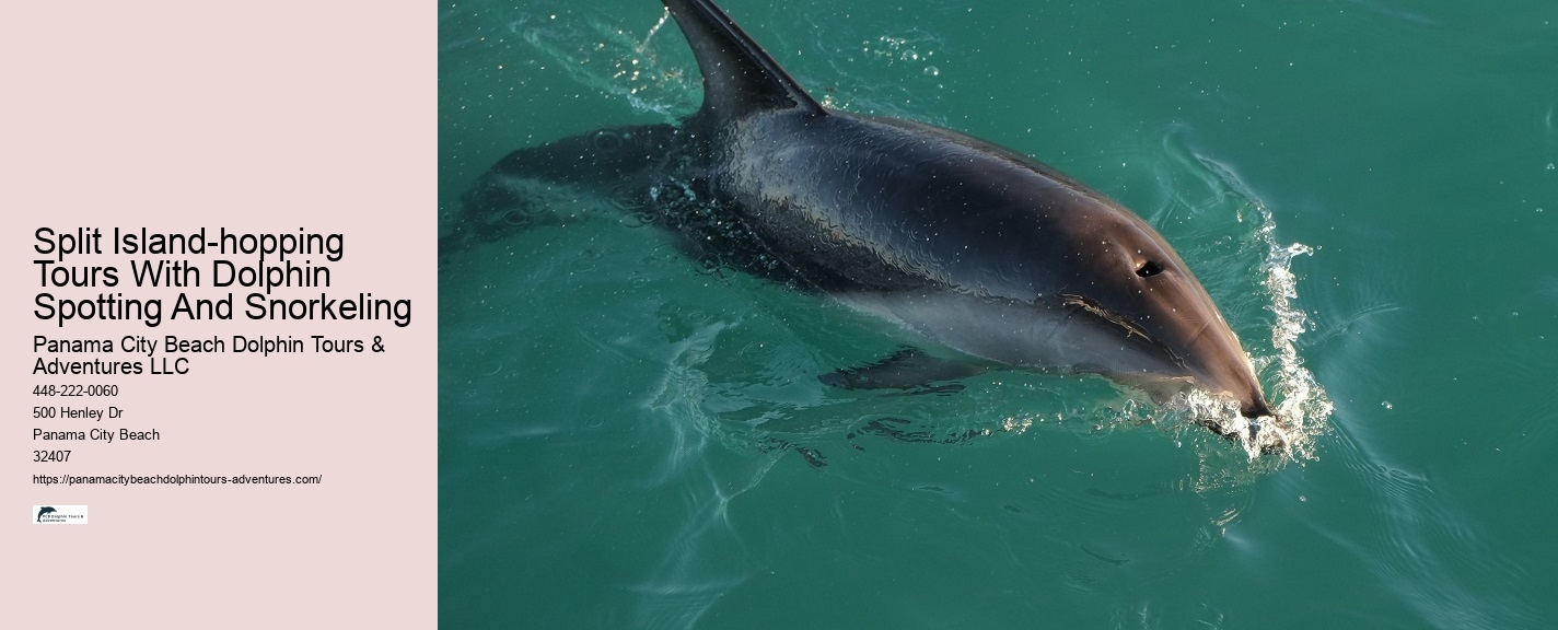Secluded Dolphin Encounter and Snorkeling Experience