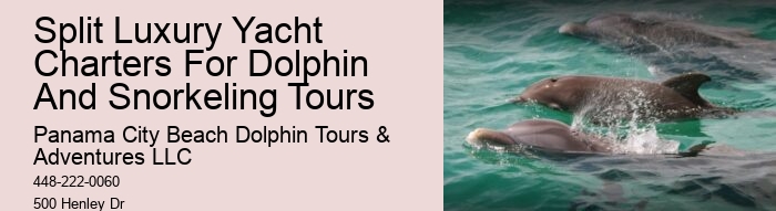 Panama City Dolphin Tours
