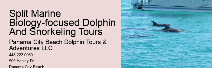 Panama City Beach Dolphin Tours
