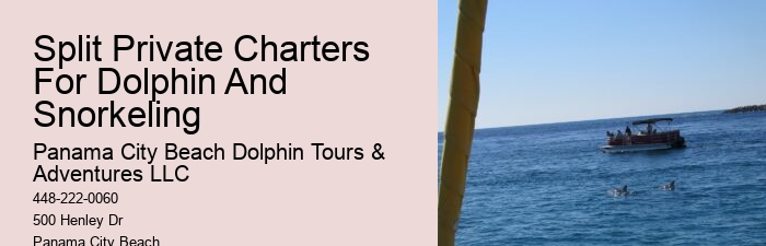 Panama City Dolphin
