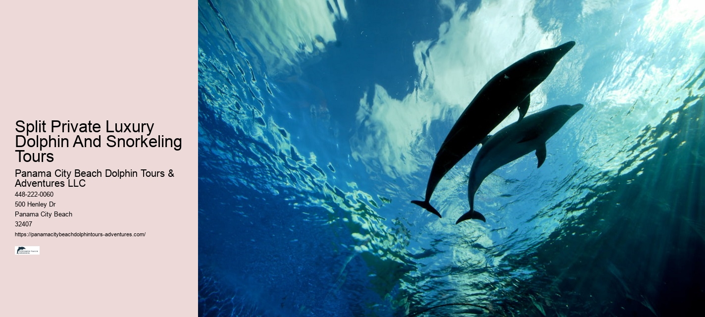 Snorkeling And Dolphin Cruise From Split