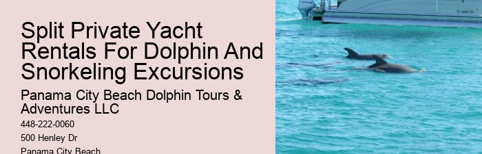 Split Marine Tours With Dolphin Encounters