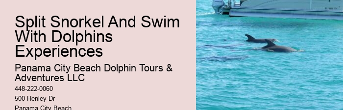 Do Dolphins Like To Play With Humans