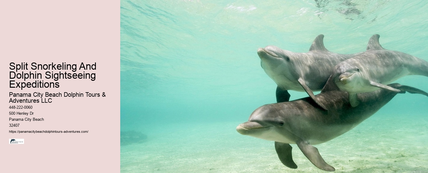 Marine life conservation