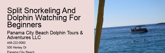 Do You Get Sea Sick On A Dolphin Cruise