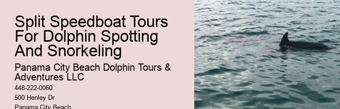 Dolphin Tours & Snorkeling Tours