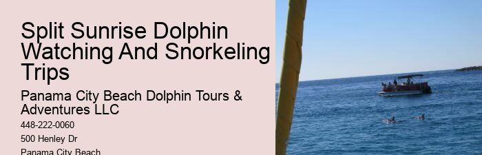 Dolphin-safe Ways To Protect Yourself From The Sun