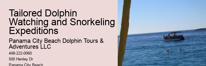 Split Vip Dolphin Watching And Snorkeling Tours