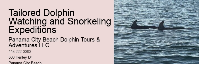 Orange Beach Jet Ski Dolphin Tours