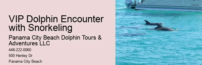 All About Bottlenose Dolphins - Birth & Care Of Young