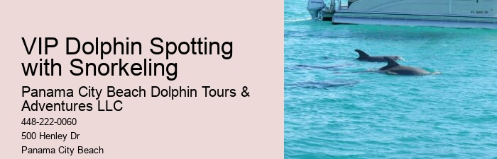 Are dolphin tours in Panama City Beach suitable for children