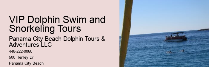 Dolphin boat tours at Panama City Beach
