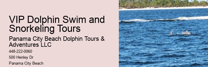 Why Do Dolphins Swim With Cruise Ships